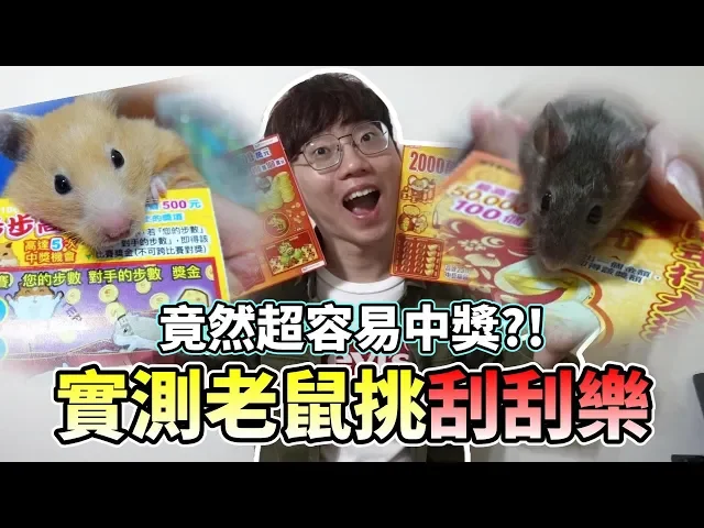 【維鼠日記】實測老鼠挑刮刮樂,竟然超容易中獎?【維特】